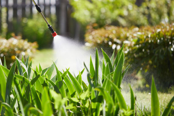 24/7 Emergency Mosquito Control experts in Bowling Green, OH
